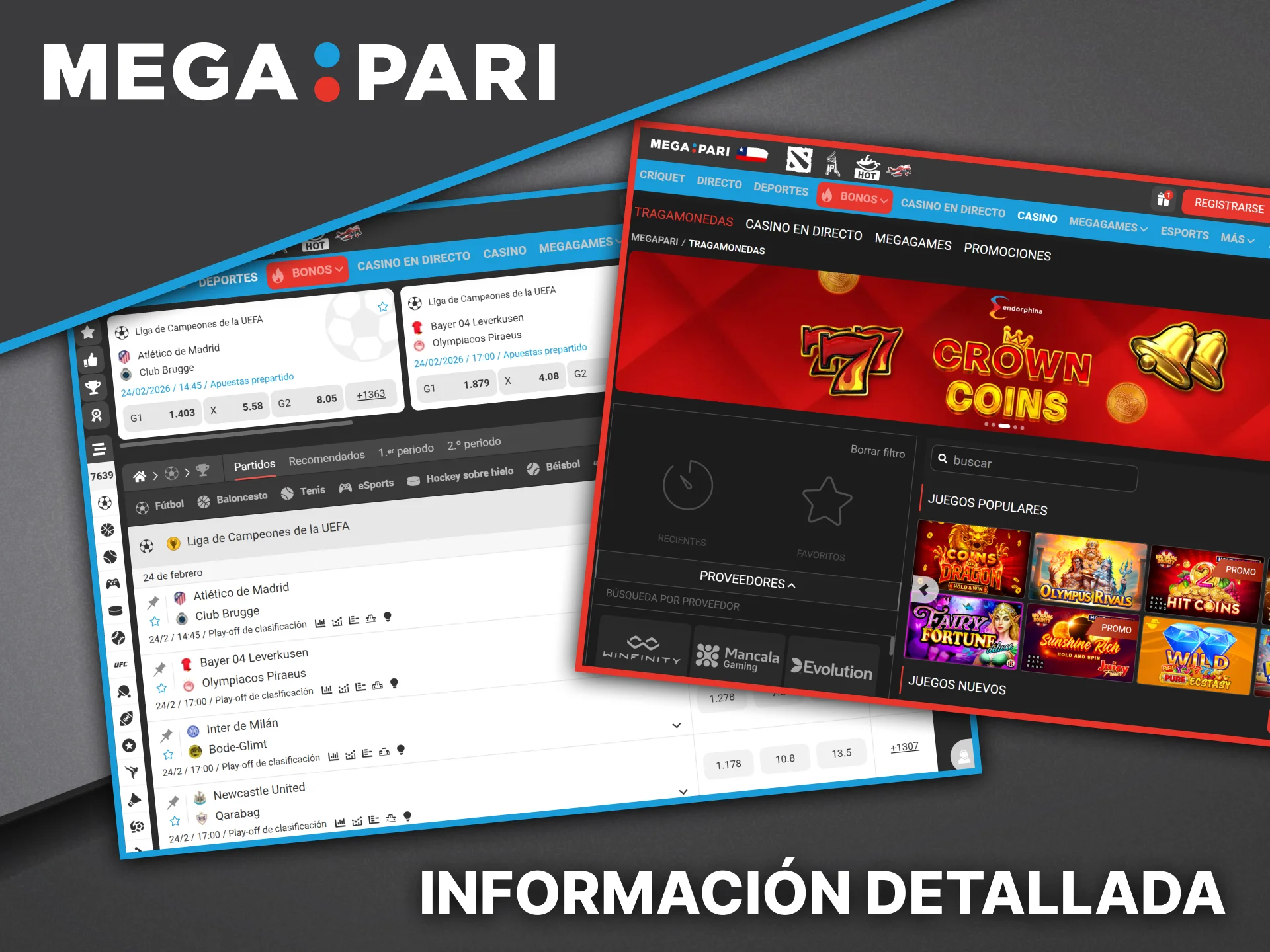 Explora todos los servicios y funcionalidades que ofrece la plataforma de juegos Megapari.